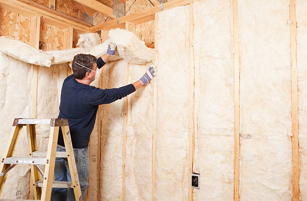 Best Attic Insulation Installation in Imperial, CA